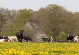 Fietsvakantie rondje Drenthe foto 13