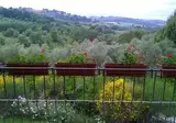 Il Melograno Country House foto 3