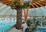 Domaine Des Ormes foto 1