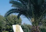 Serra Park Hotel foto 2