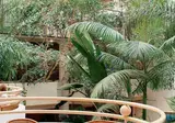 AC Hotel Ambassadeur Antibes- Juan Les Pins foto 13