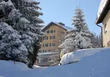 Hotel Alpina Parpan foto 13