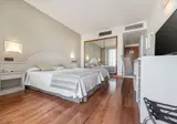 Fly & Go Gran Hotel Costa del Sol foto 6