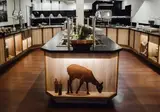 Ringhotel Forellenhof foto 22