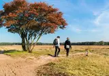 Boutique Hotel en Boerderij restaurant De Gloepe foto 21