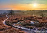 Kerst op de Veluwe, Nunspeet foto 4