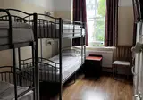 Dolphin Inn foto 27