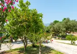 Small Village foto 8