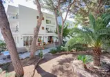 Petit Garden Hotel by Flacalco foto 12