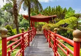 Mooi Madeira foto 8