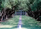 The American South foto 10