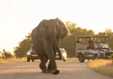 Wonderlik Suid-Afrika foto 7
