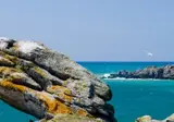 Demoiselles Plage foto 21