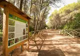 Torreserena Village foto 20