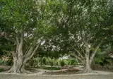 Parco delle Fontane foto 24