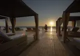 Divi Flamingo Beach Resort & Casino foto 17