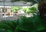 Ivory Hotel foto 10