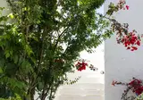 Naxos Holidays Hotel foto 21