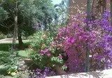 In Club Palmeraie Resorts foto 5
