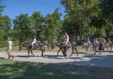 Merendella foto 19