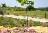Camping Viovillas Country House Arezzo foto 6