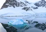 Once in a lifetime experience to Antarctica foto 4