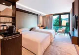 Sheraton Grand Tbilisi Metechi Palace foto 4
