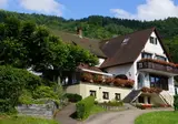 Landgasthof Grüner Baum foto 1