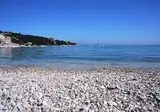 Oliva foto 10