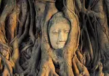 Explore Tropical Thailand foto 7