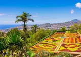 Mooi Madeira foto 1