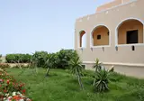 Anessis Santorini foto 23
