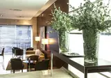 Hotel Zenit Murcia foto 12