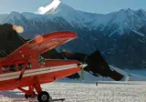 Explore the Wilderness of Alaska & Yukon foto 3