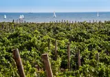Firriato Hospitality - Calamoni di Favignana Apartments & Wine Experience foto 22