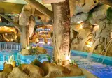 Aquashow Park Hotel foto 21
