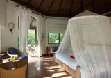 Coco Palm Dhuni Kolhu foto 26