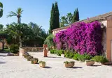 Es Revellar Art Resort foto 6