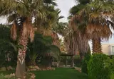 L Escala Resort foto 9