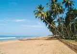 Royal Palms Beach Resort foto 9
