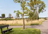 Summio Vakantiepark Zeedijk foto 5
