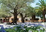 La Baume - La Palmeraie foto 5