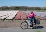 Fietscruise voorjaarstour tulpen en Nederlands erfgoed met De Holland foto 3