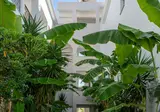 Mojo Hotel foto 5