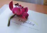 Orquidea foto 4
