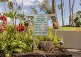 Maui Beach Hotel foto 5