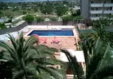 Palm Court foto 11