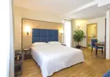 Virgilio Grand Hotel foto 10