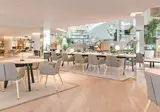 Melia Palma Marina foto 11