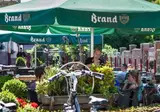 Buitenplaats de Mechelerhof Limburg foto 24